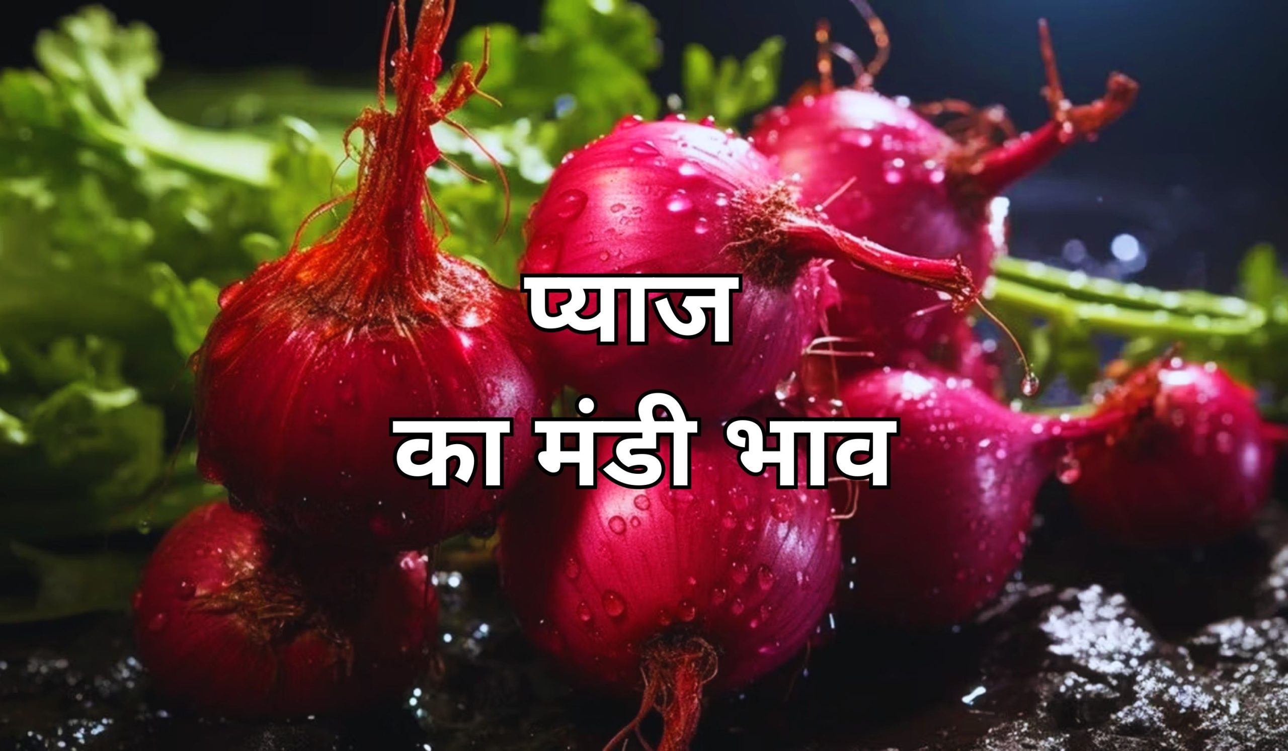कई मंडियों में प्याज के भाव में बदलाव, जाने 14 जुलाई 2025 के ताजा मंडी भाव