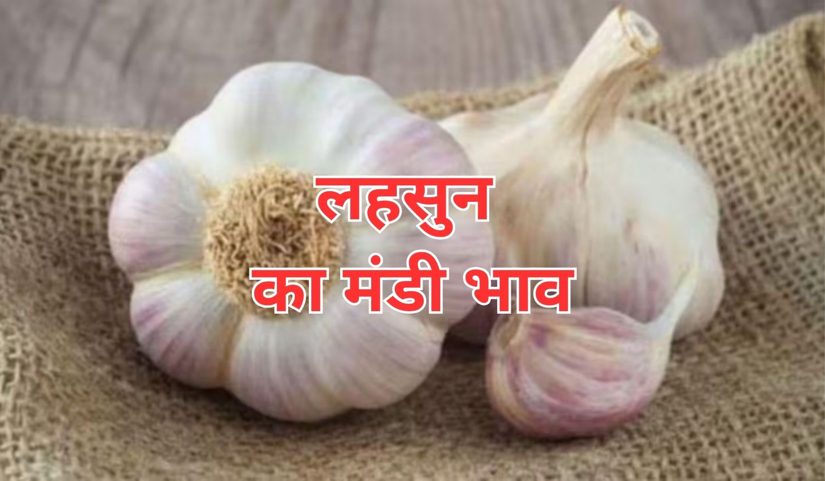 गिरावट के बाद लहसुन ने फिर पकड़ी तेजी, जाने 14 जुलाई 2025 के ताजा मंडी भाव