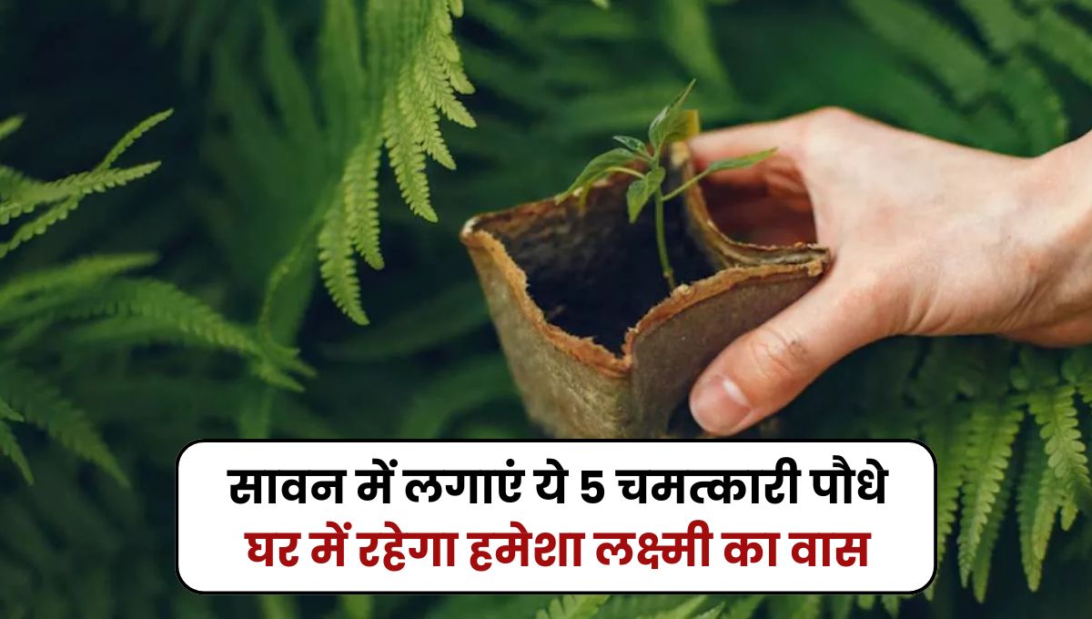Sawan 2025
