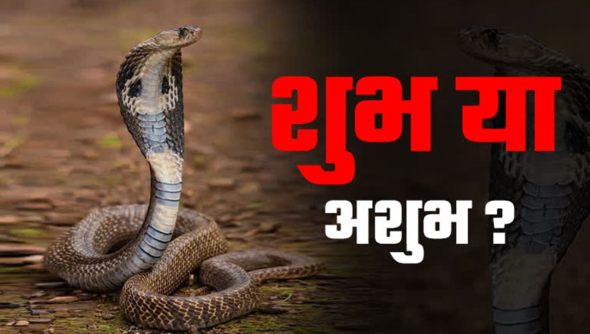 शुभ या अशुभ? सपने में सांप दिखने का क्या होता हैं मतलब, यहां जानें