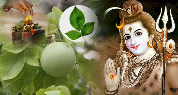 सावन महीने में इस भोग से प्रसन्न होंगे भगवान शिव, जाने क्या-क्या चढ़ाना है भोग