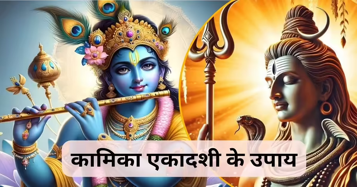kamika ekadashi upay