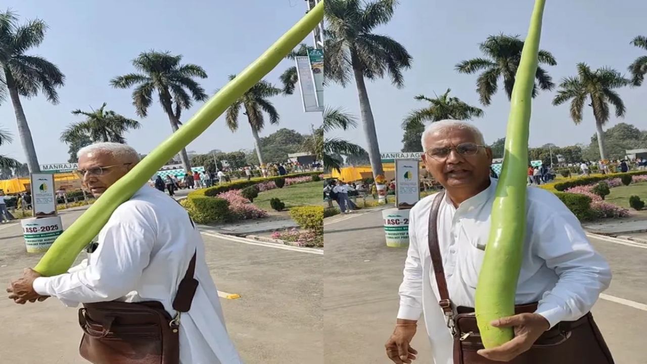 चचा के हाथ में लौकी देख बंदे ने पूछा 'ऐसा सवाल', जवाब सुन लोग बोले- 'ताऊ हरियाणा के होंगे!'