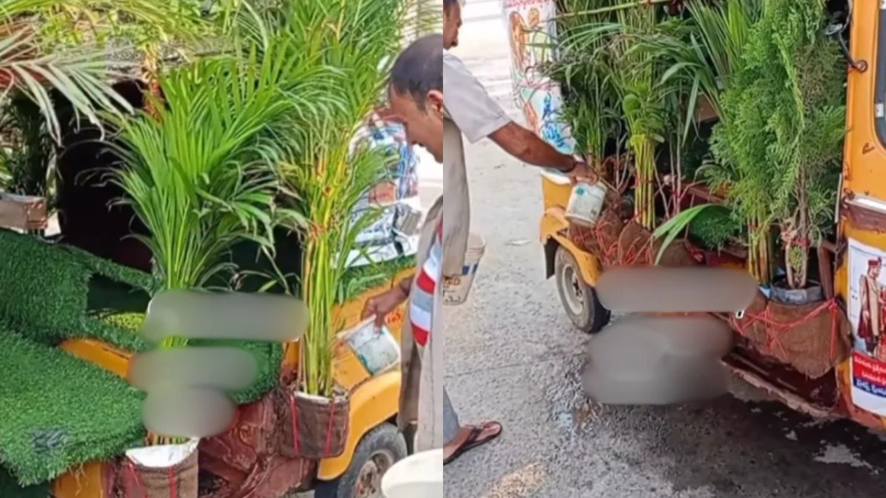 चचा ने अपने ऑटो को बना दिया 'चलता-फिरता बगीचा', Video देख आंखों पर नहीं होगा यकीन
