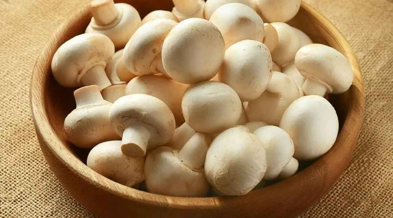 mushrooms health, eating