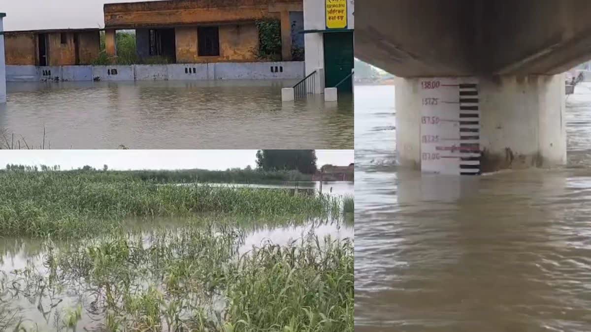 गंगा का जल स्तर बढ़ने से आई नई मुसीबत, खेतों में पानी घुसने से फसले हुई चौपट