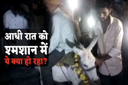 आधी रात को गधे पर उल्टा बैठ श्मशान में घूमता मिला युवक, पीछे की वजह कर देगी हैरान