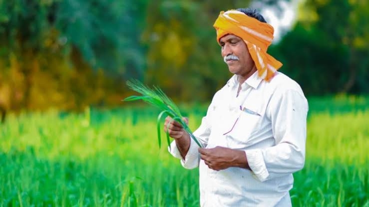 PM Fasal Bima Yojana: खरीफ 2025 की फसलों के लिए पंजीकरण की अंतिम तारीख तय, ऐसे करें पूरा आवेदन