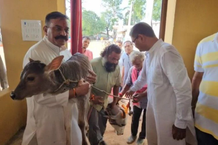 एमपी में गायों के लिए बनी अनोखी सुविधा, शुरू हुआ देश का पहला काऊ मेटरनिटी वार्ड, अब इंसानों जैसी मिलेगी सुविधा