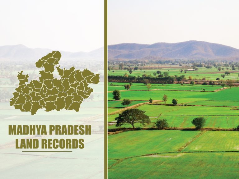 मोबाइल पर मिलेगी अब जमीन से जुड़ी हर जानकारी, फर्जी खरीद बिक्री पर मिलेगा अलर्ट, Web GIS 2.0 पोर्टल हुआ लॉन्च