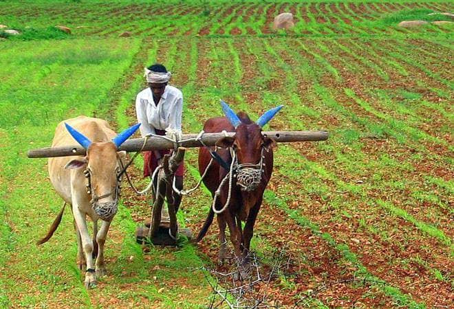 एमपी के 424 जनजातीय गांवों में आएगा बदलाव, इस अभियान से मिलेंगी यह नई सुविधाएं