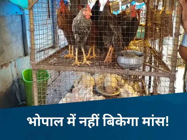 भोपाल में कल नहीं बिकेगा चिकन-मटन, नियम तोड़ने पर लगेगा 10 हजार जुर्माना और हो सकती है दुकान सील