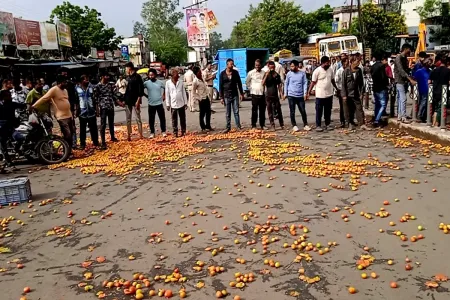 गुस्साए किसानों ने सड़क पर फेंके मिर्ची-टमाटर, वजह जानकर आप भी हो जाएंगे हैरान