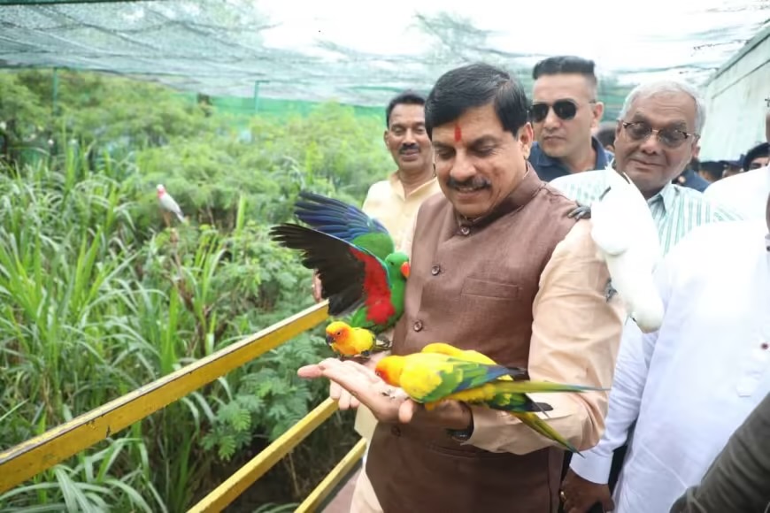 इंदौर जू में दिखा सीएम मोहन यादव का वन्यजीव प्रेम, हाथों से खिलाया पक्षियों को दाना
