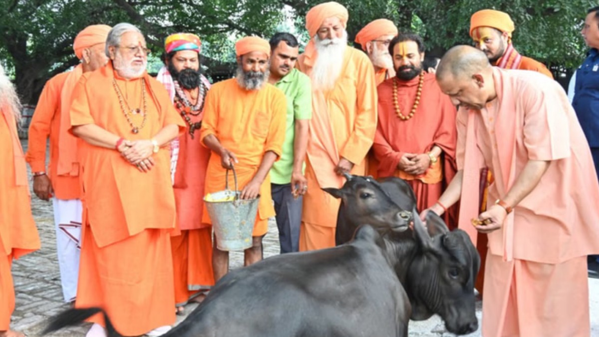 गोरखनाथ मंदिर में दिखा मुख्यमंत्री योगी का गोप्रेम, मोर और गाय बने सीएम की सुबह की पूजा का हिस्सा
