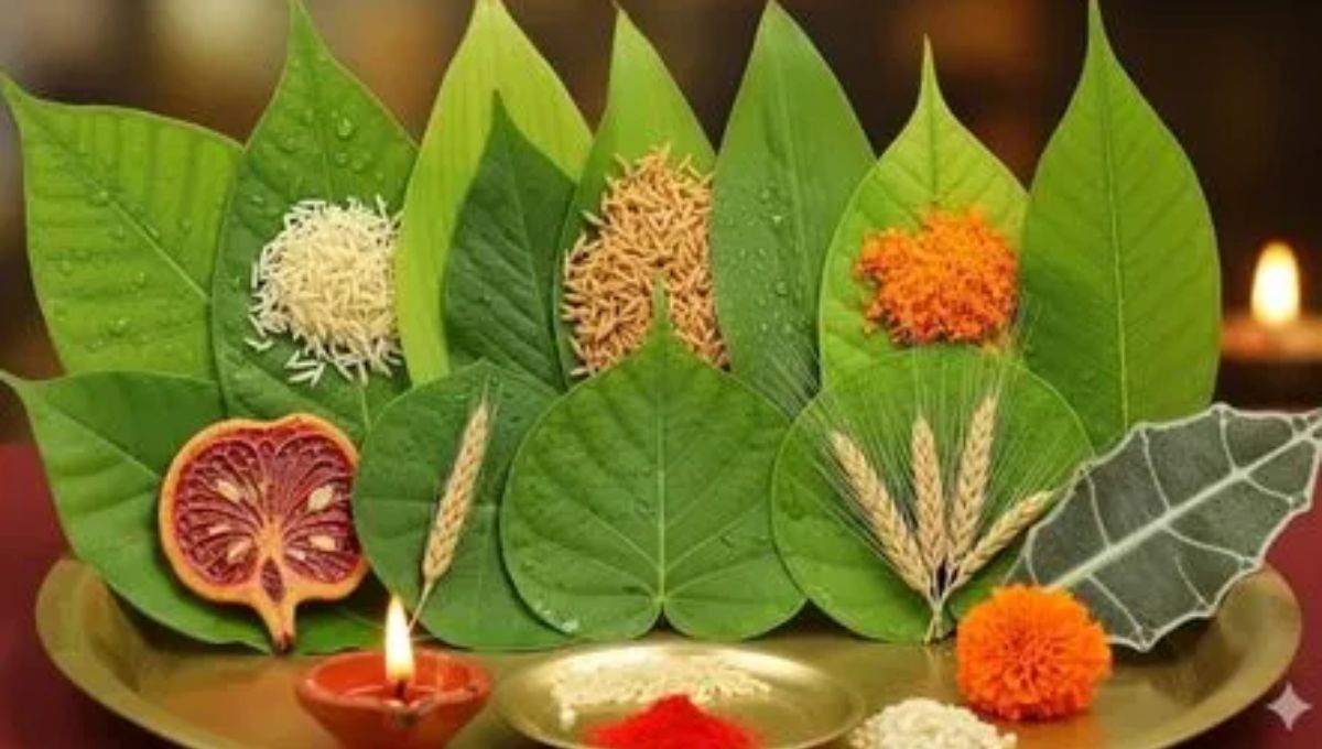 नवरात्री के किस दिन होता है नवपत्रिका पूजन, जानें इसका महत्व और पूजा विधि