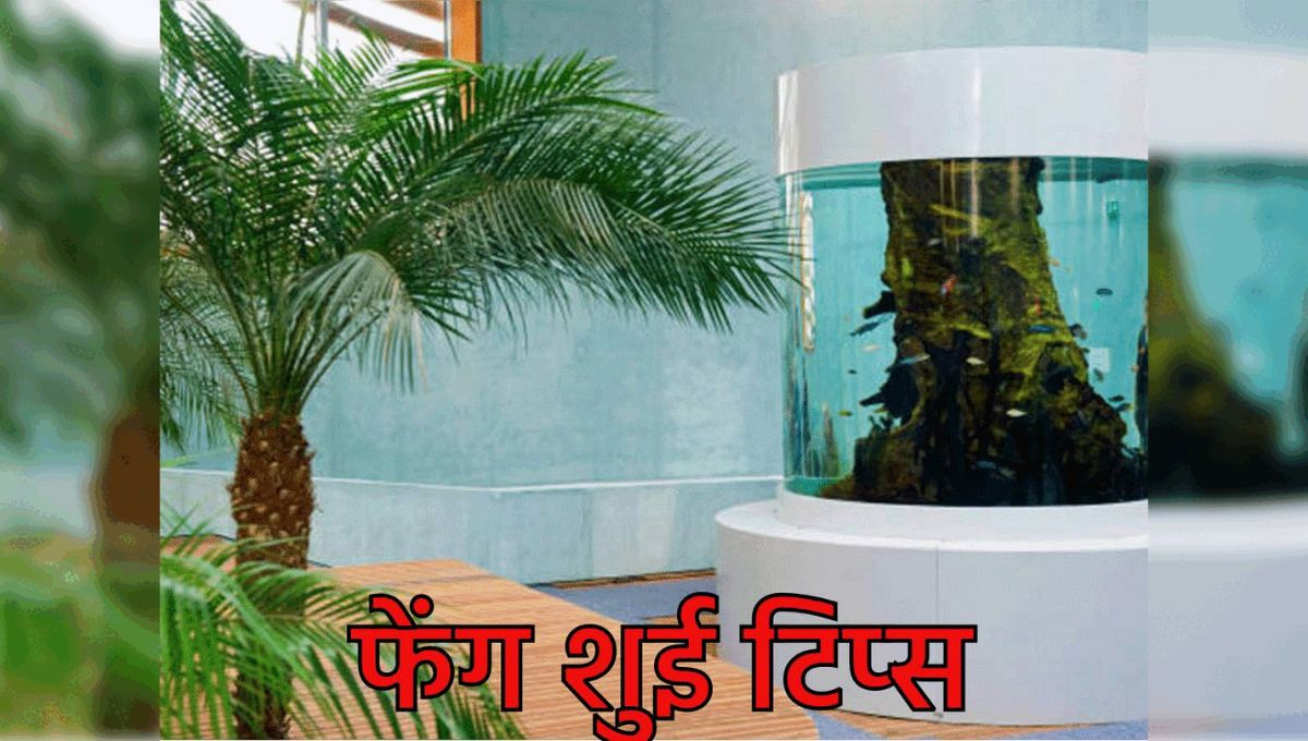 नया घर ले रहे हैं? इन फेंगशुई उपायों से दूर होगी नेगेटिविटी, हर कोने में रहेगी सुख-शांति और सफलता