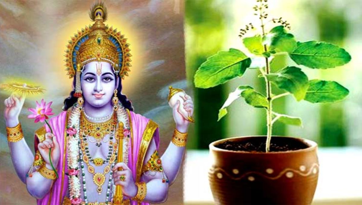 तुलसी पूजन से बदलेगी किस्मत, इंदिरा एकादशी के दिन करें ये 5 सरल उपाय, होगी हर मनोकामना पूरी