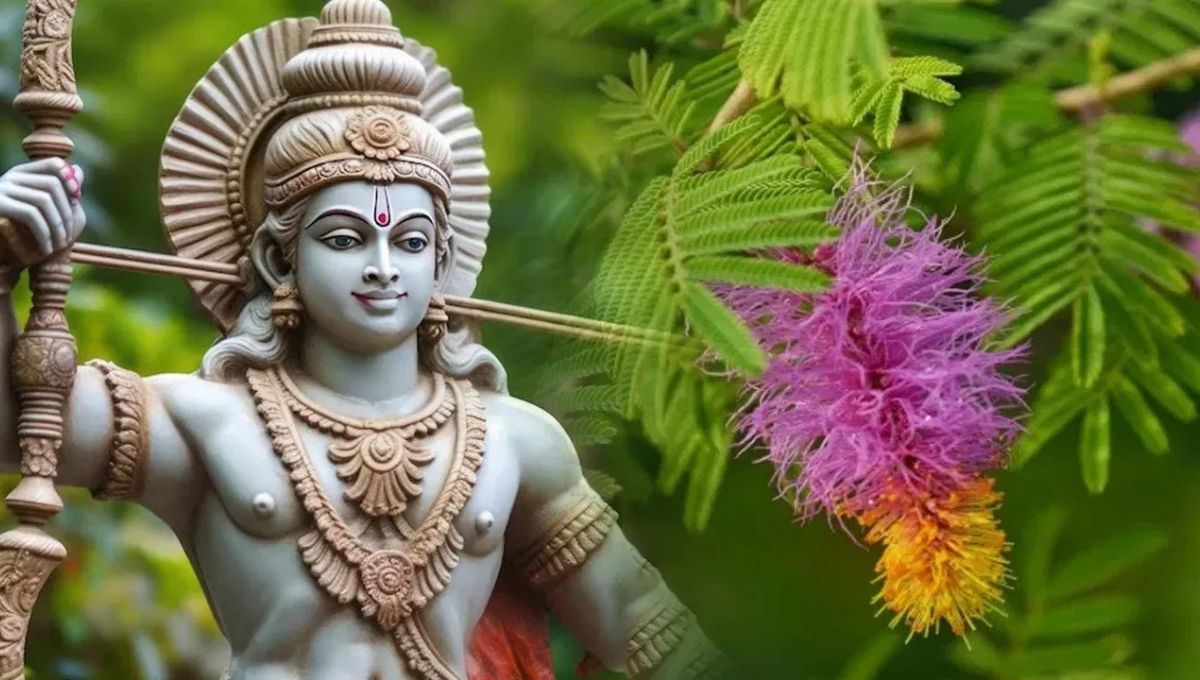 दशहरे पर घर में क्यों लगाना चाहिए शमी का पौधा? जानें इसके महत्व और फायदे