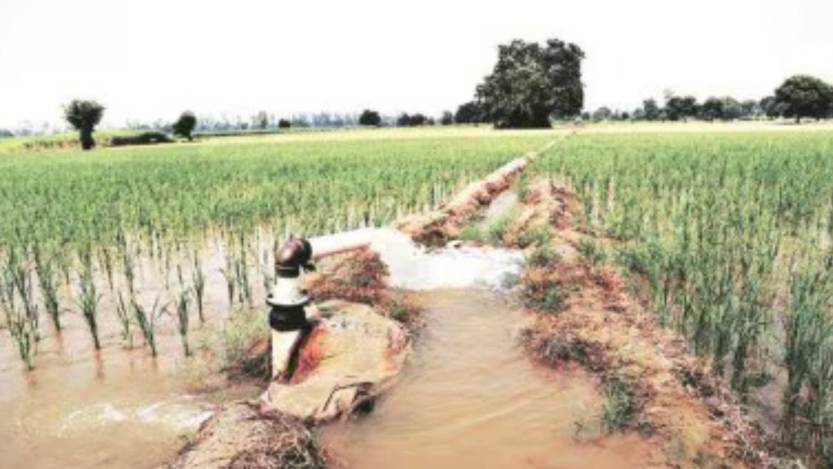 दो सिंचाई परियोजनाओं के कार्यों के लिए 7.36 करोड़ रूपए स्वीकृत