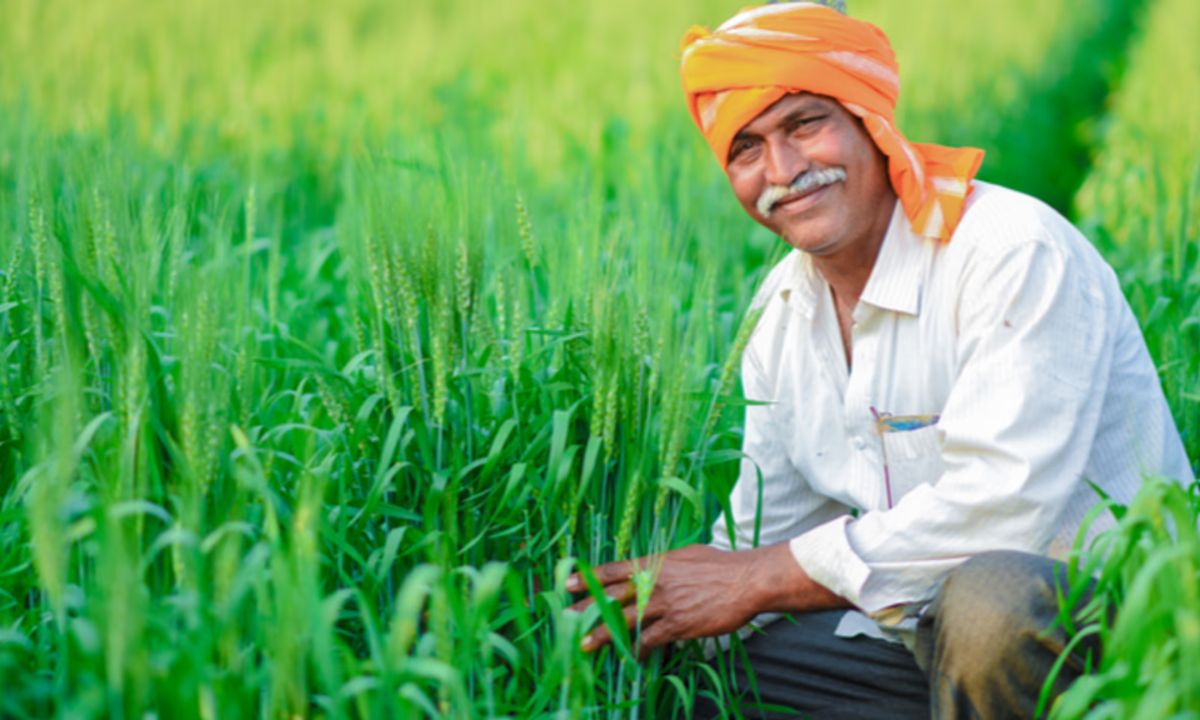 भावांतर योजना : मध्य प्रदेश में सोयाबीन का मॉडल रेट गिरकर हुआ ₹4260, सरकार करेगी ₹5328 MSP की भरपाई