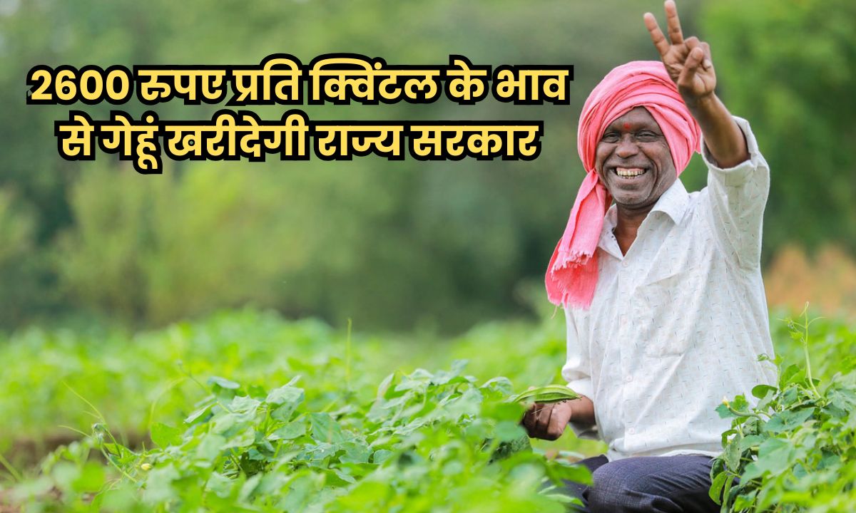 किसानों के लिए बड़ी खुशखबरी, 2600 रुपए प्रति क्विंटल के भाव से गेहूं खरीदेगी राज्य सरकार, सीएम ने की घोषणा