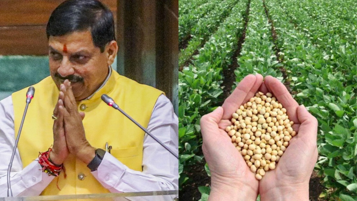 MP Bhavantar Yojana: सोयाबीन किसानों को मिलेगी बड़ी सौगात, सीएम मोहन यादव 233 करोड़ की राशि करेंगे ट्रांसफर