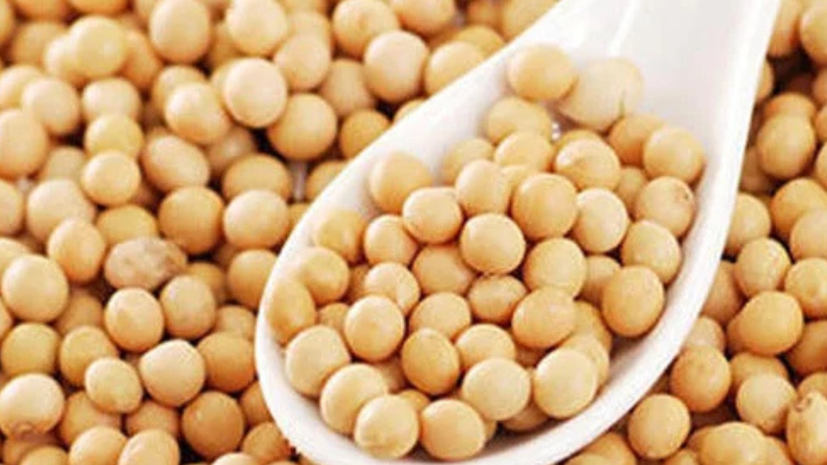 एमपी की मंडियों में फिर बढ़ा सोयाबीन का रेट, भावांतर योजना में भी हुई बढ़ोतरी