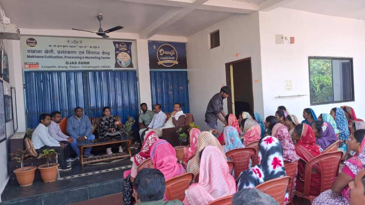 मखाना खेती से बदलेगी धमतरी की ग्रामीण महिलाओं की आर्थिक तस्वीर