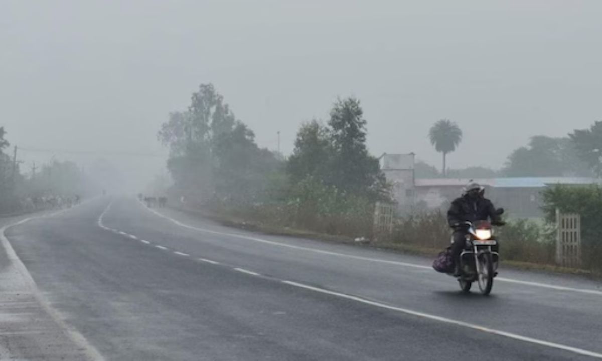 MP Weather : मध्य प्रदेश में सर्दी का सितम, 4 जिलों में पारा 8 डिग्री तक लुढ़का, 5 दिसंबर से बदलेगा मौसम