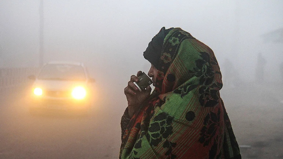 MP Weather: मध्य प्रदेश में ठंड का डबल अटैक, 12 जिलों में घने कोहरे का अलर्ट