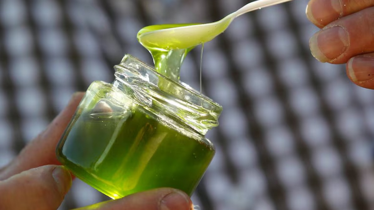 सोने से भी महंगा हरा शहद, हिमालय की ऊंचाइयों से आने वाला दुनिया का सबसे दुर्लभ हनी