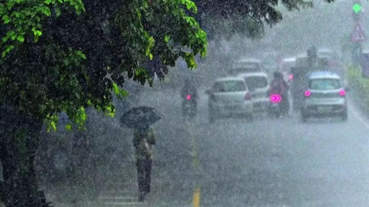 मध्यप्रदेश में 29 जनवरी को 29 जिलों में होगी बारिश, मौसम विभाग ने जारी किया अलर्ट