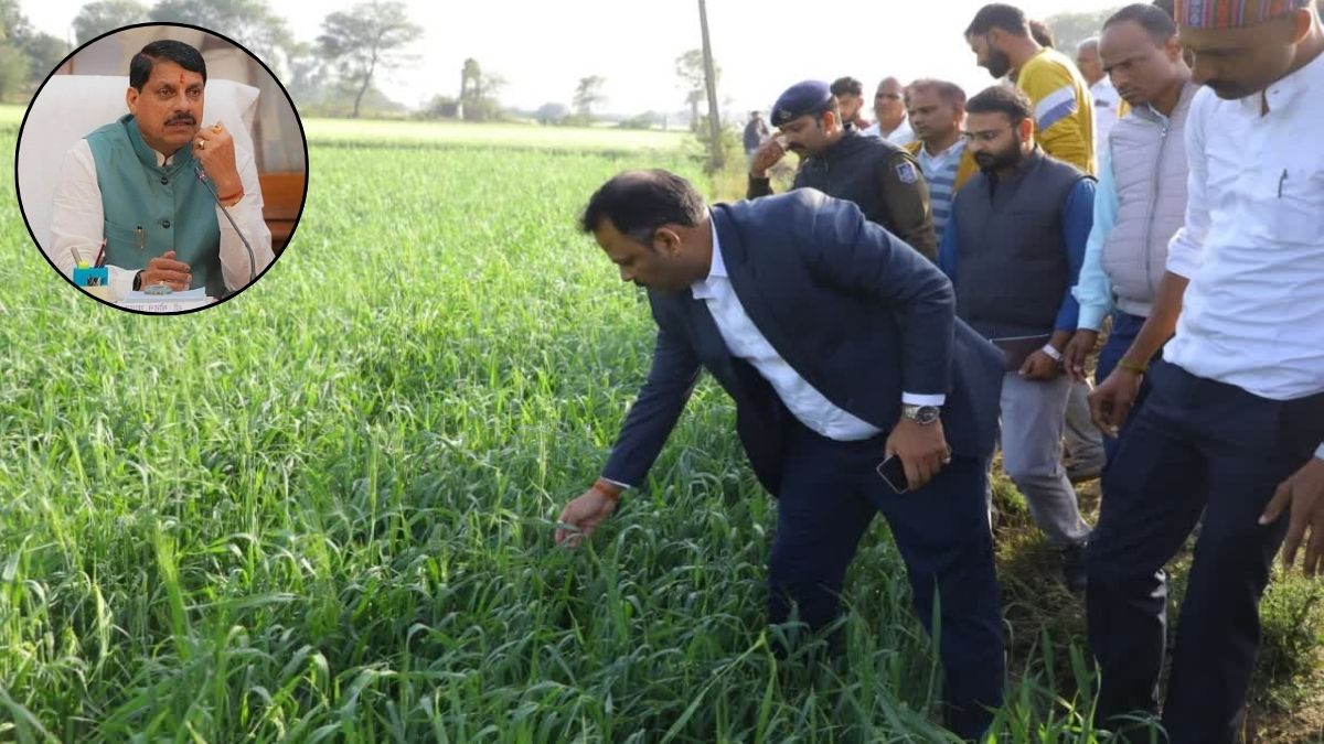 लाखों किसानों के लिए खुशखबरी, सीएम मोहन यादव के निर्देश पर खेतों में अधिकारी, जल्द मिलेगा मुआवजा