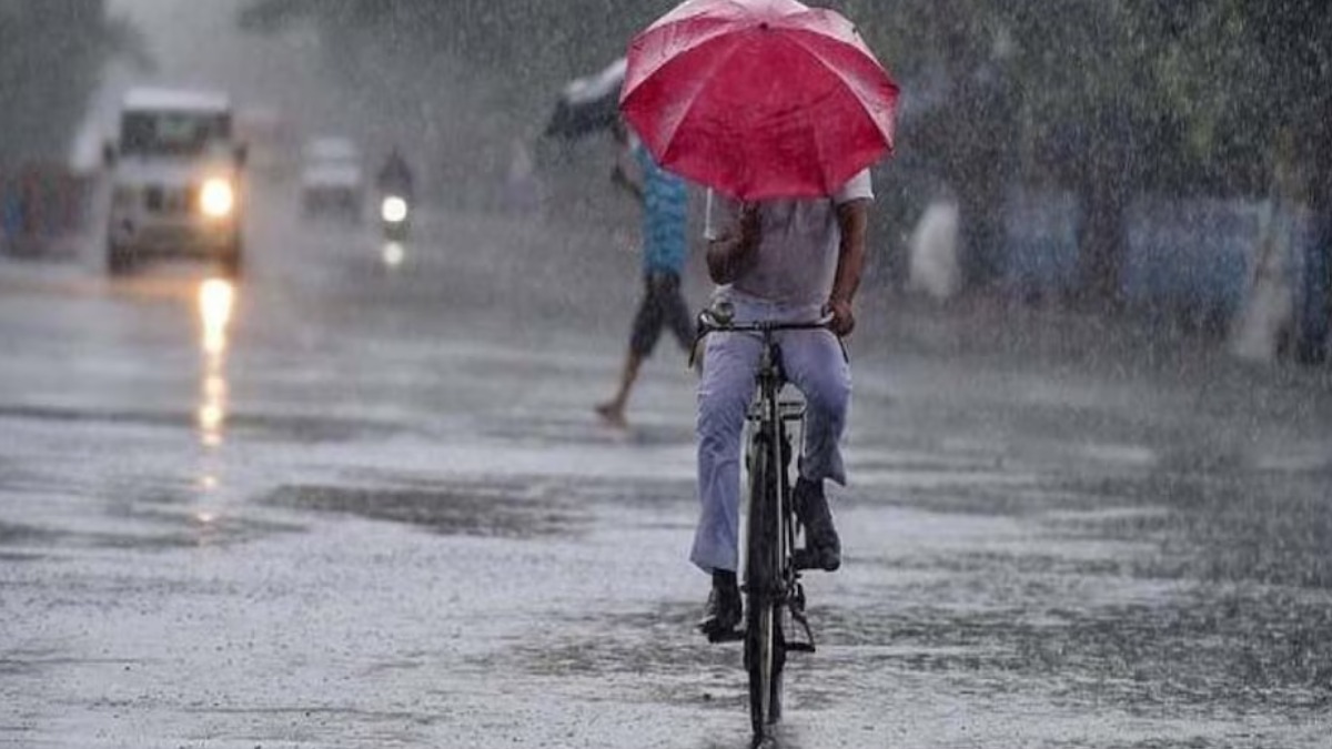 पश्चिमी विक्षोभ के असर से एमपी में बदलेगा मौसम का मिजाज, 10 जिलों में बारिश का अलर्ट