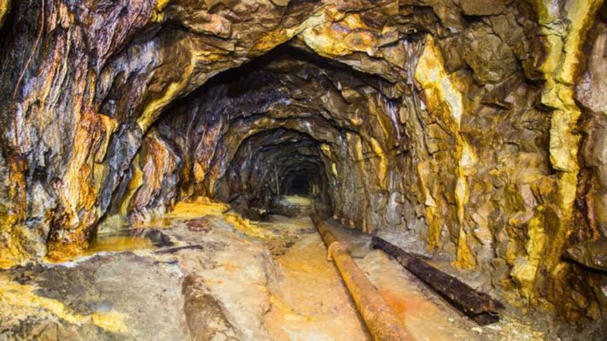 MP में मिली सोने की खदान, 50 साल की खोज हुई खत्म, जल्द शुरू होगा खनन