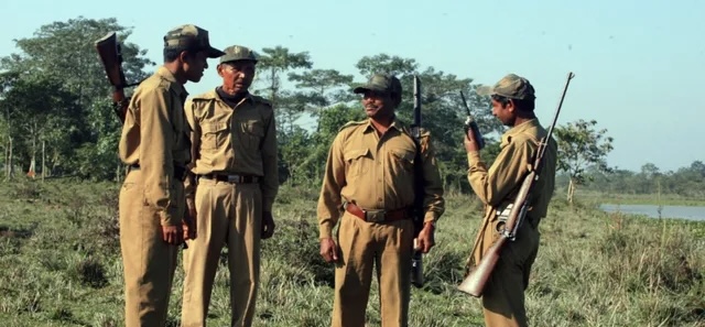 MP Forest Guard Recruitment 2026: मध्यप्रदेश कर्मचारी चयन मंडल ने निकाली 728 वनरक्षक पदों पर भर्ती, 12वीं पास अभ्यर्थियों के लिए सुनहरा अवसर