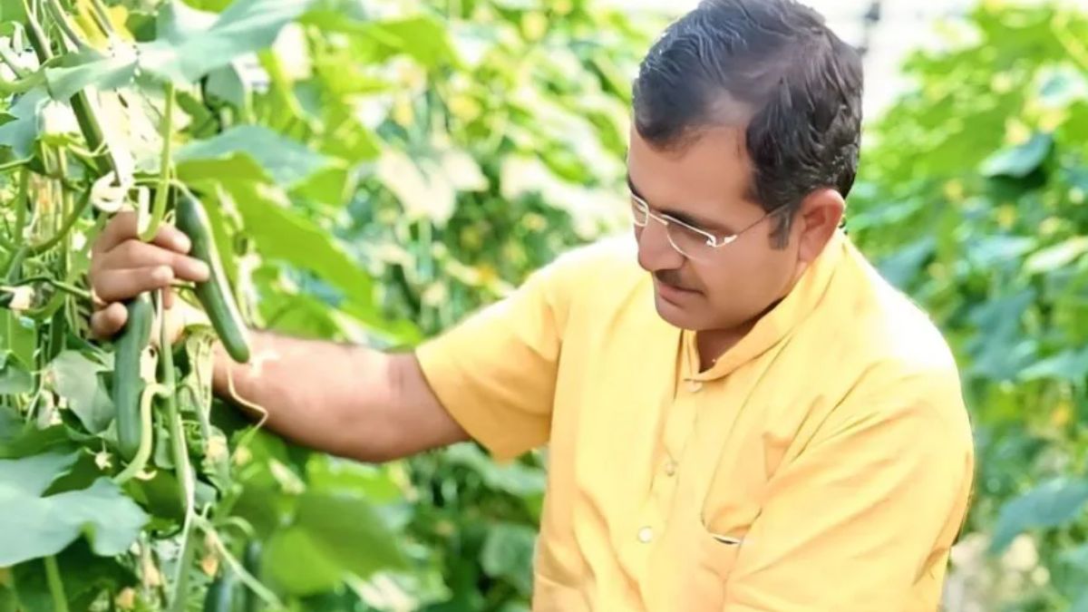 MP के इस किसान ने किया कमाल, 3 महीने में ही कमा लिए 12 लाख रुपए, पॉलीहाउस तकनीक से बदली किस्मत