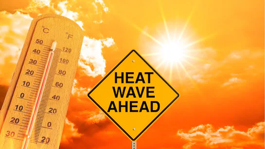 होली से पहले बढ़ी एमपी में गर्मी, 35°C पार पहुंचा तापमान, मार्च में 40 डिग्री छूने के संकेत
