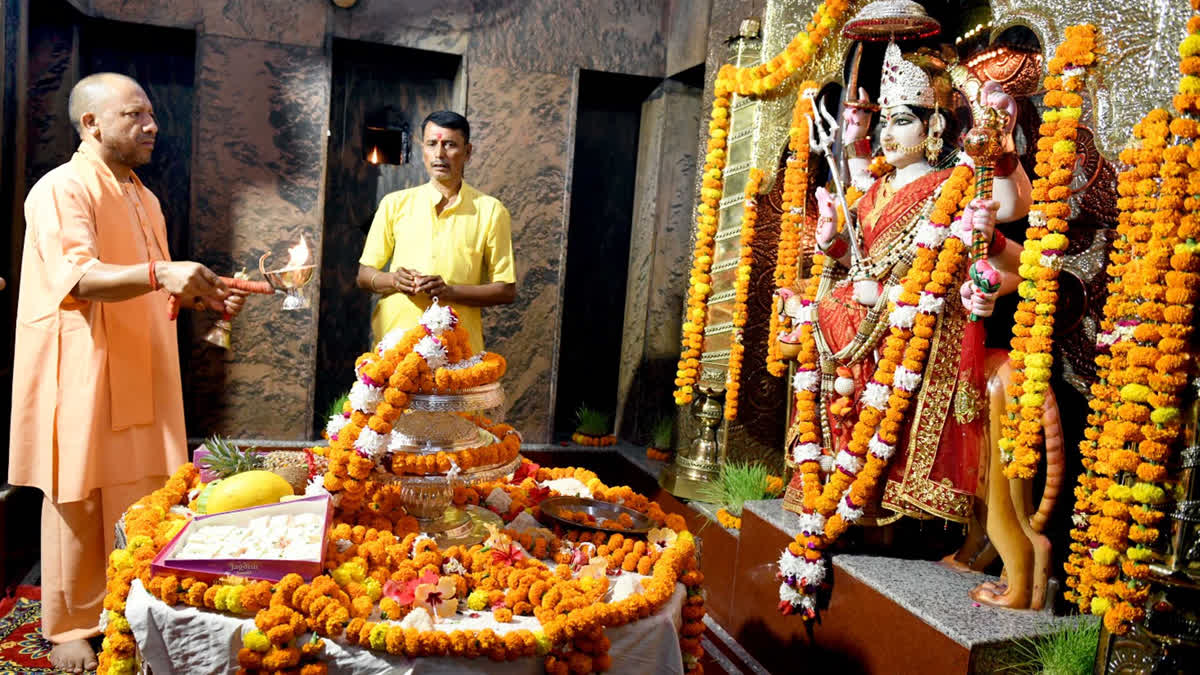 सीएम योगी आदित्यनाथ ने मां पाटेश्वरी मंदिर में किए दर्शन, पूजा के बाद गोशाला में गायों को खिलाया गुड़