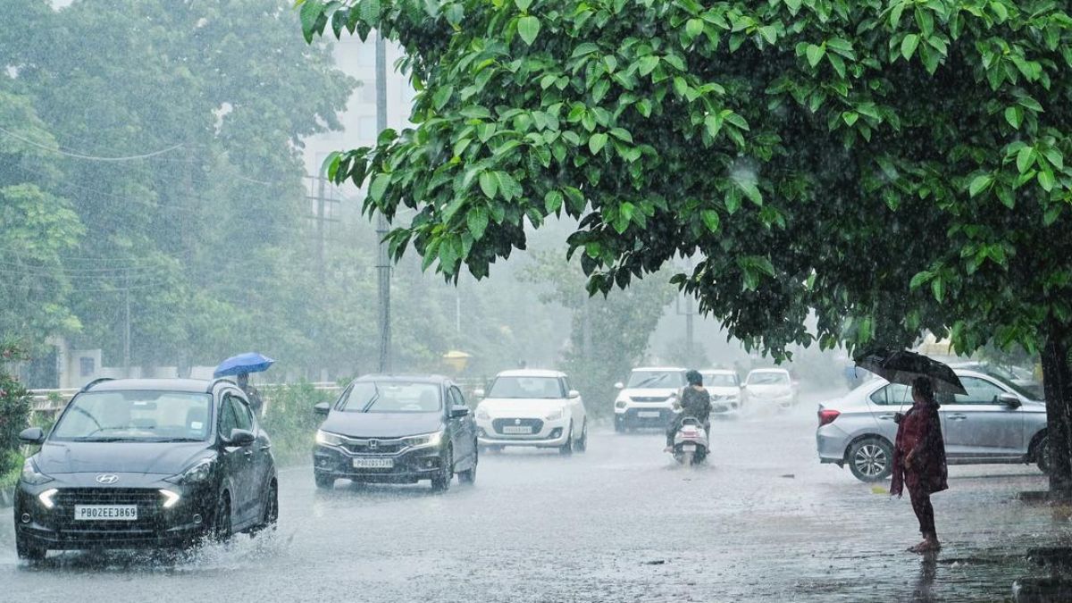 प्रदेश के इन 30 जिलों में होगी बारिश, मौसम विभाग ने जारी किया अलर्ट