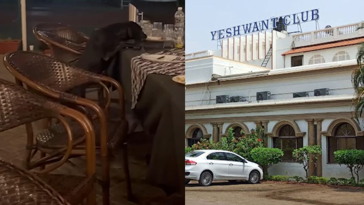 इंदौर का Yeshwant Club बना पप्पी ढाबा, कुत्तों ने चाटी खाने की प्लेट, वीडियो हुआ वायरल