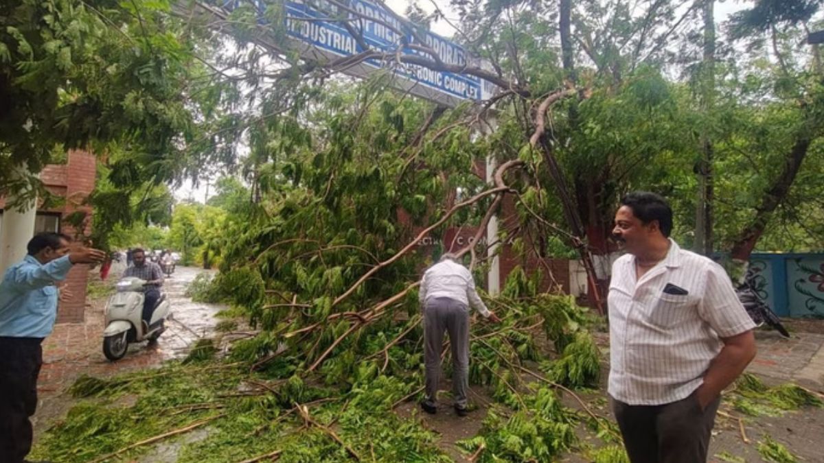 इंदौर में पांच घंटे बाद आई बिजली, आंधी तूफान से कई जगह गिरे पेड़, ट्रैफिक जाम में घंटों रेंगते रहे वाहन