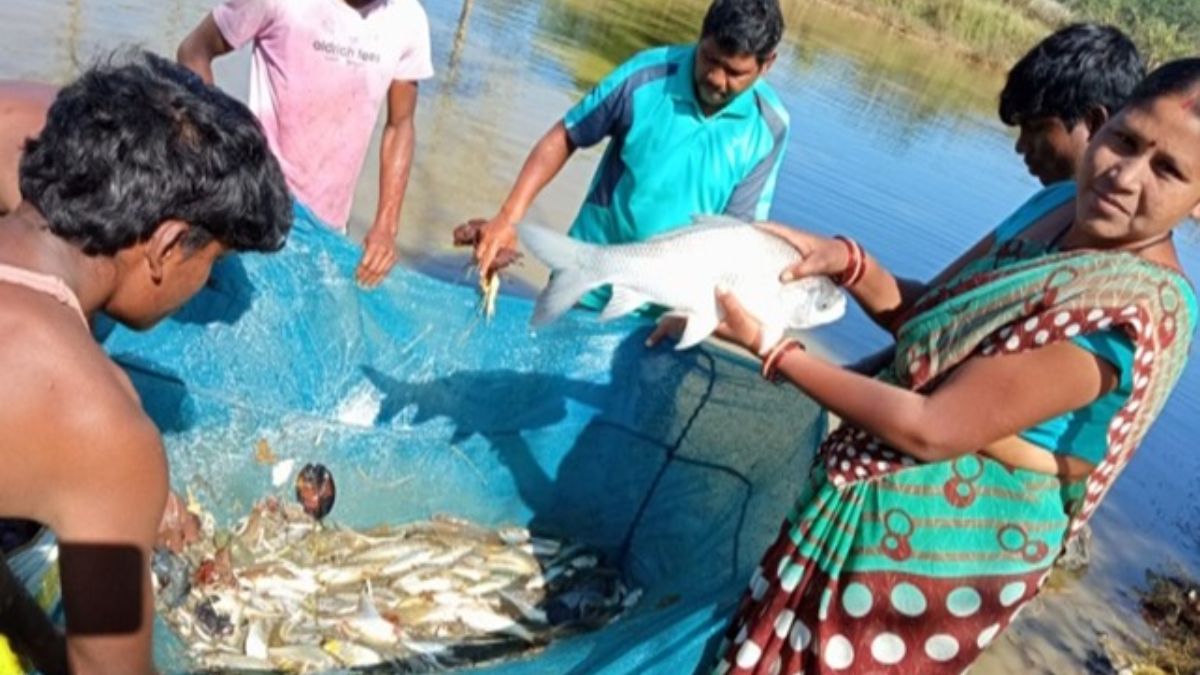 अनुदान से बदली तकदीर, मछलीपालन से आत्मनिर्भर बनीं मदनूबाई, सालाना 2 लाख रुपये से अधिक की आय