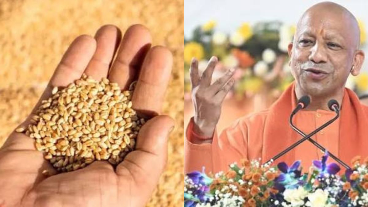 योगी सरकार में एमएसपी पर रिकॉर्ड गेहूं खरीद से किसानों को मिली आर्थिक मजबूती