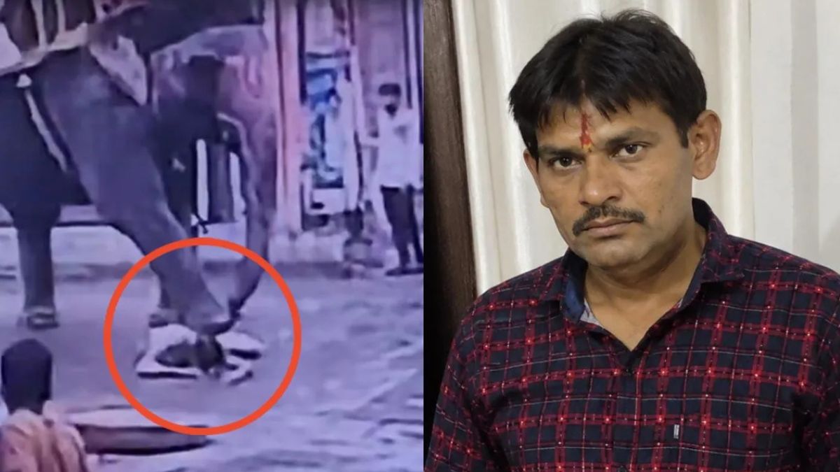 इंदौर में हाथी को गुड़ खिलाना पड़ा भारी, ऑटो चालक की हुई मौत, देखें वीडियो