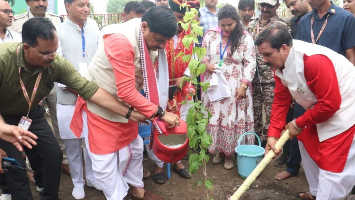 मध्यप्रदेश के हर शहर में बढ़ेगी हरियाली, 5 साल में 100 करोड़ रुपए होंगे खर्च, मोहन यादव कैबिनेट ने दी मंजूरी