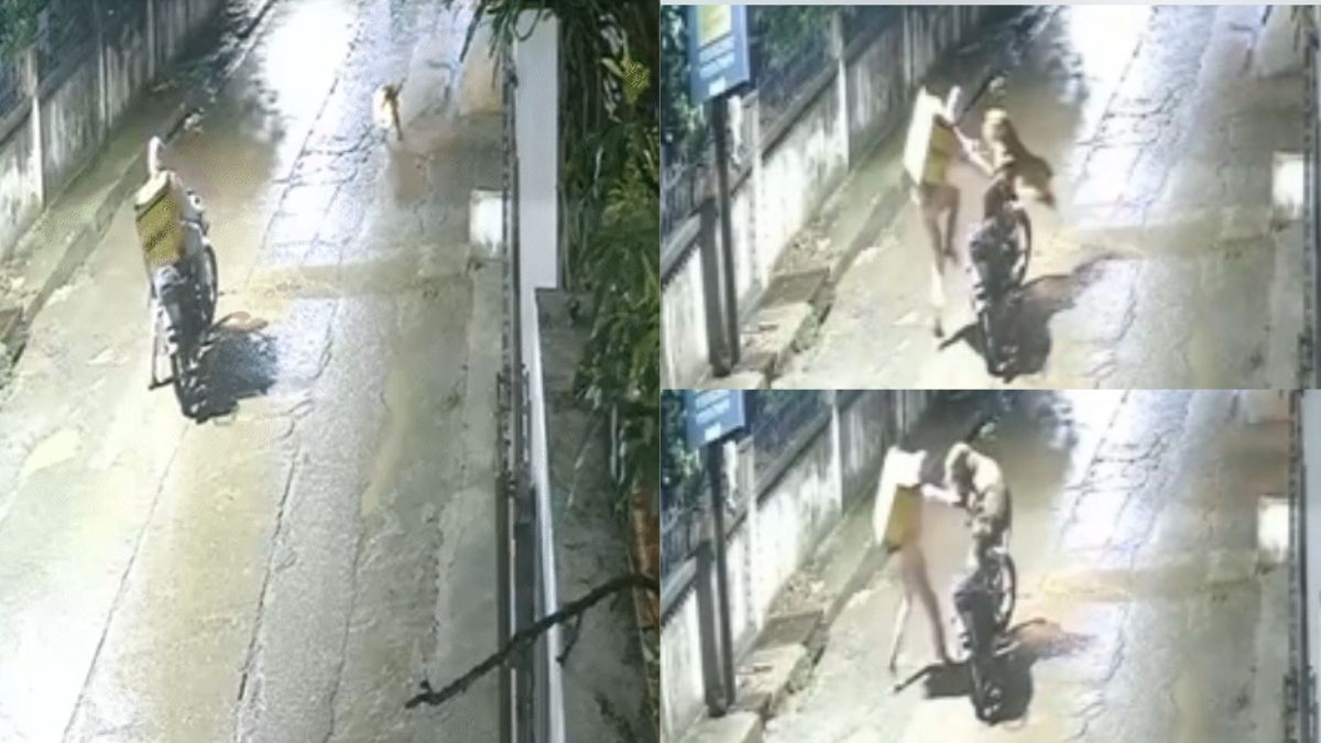 इंदौर में मचा हड़कंप, रिहायशी इलाके में घुसा तेंदुआ, बाइक सवार पर किया हमला