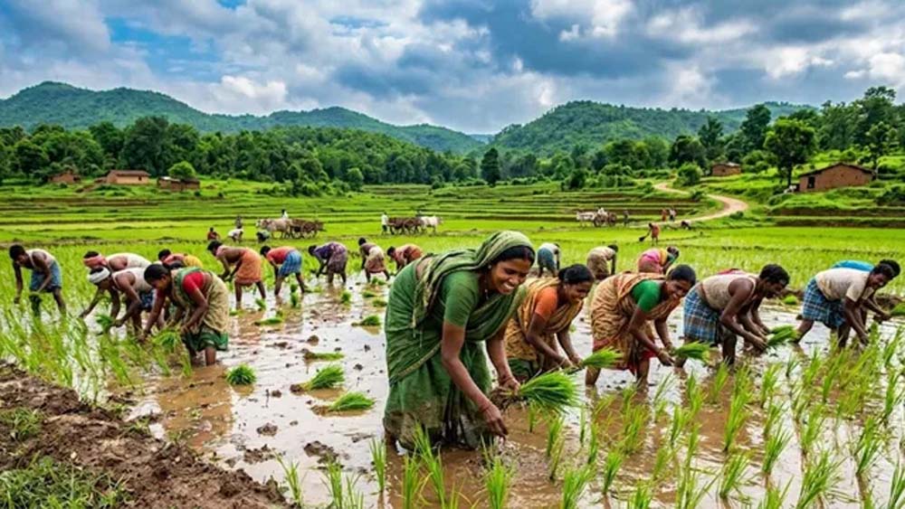 अलनीनो की आशंका के बीच झारखंड में अच्छी बारिश, 83% से ज्यादा धान का आच्छादन