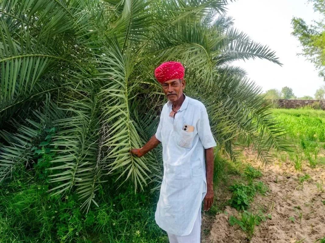 बंजर जमीन पर जैविक खेती से बंपर कमाई, बाबूलाल माली बने किसानों के रोल मॉडल